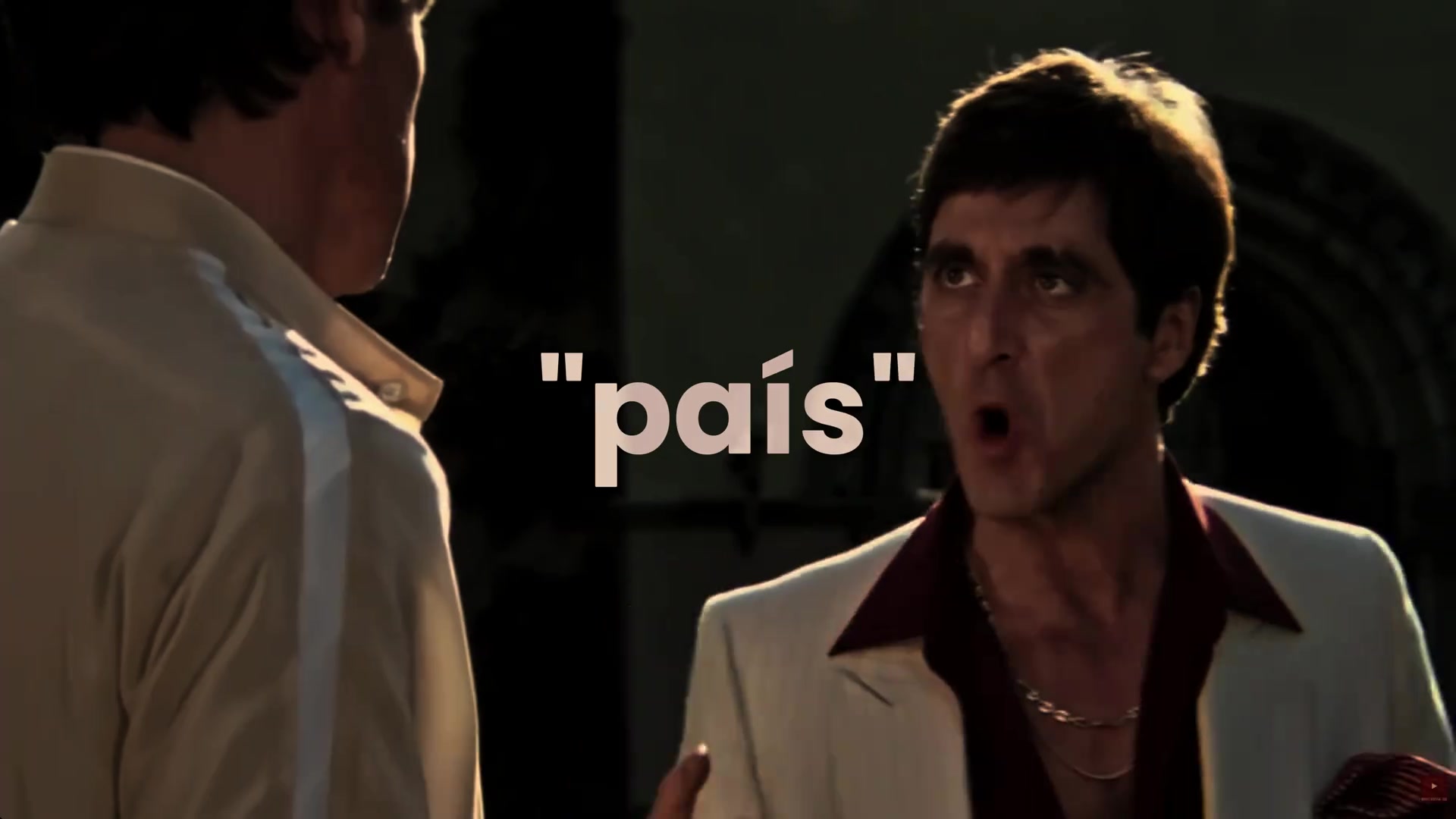 ⚜️Nesse país⚜️ #thearistocratas #scarface #tonymontana