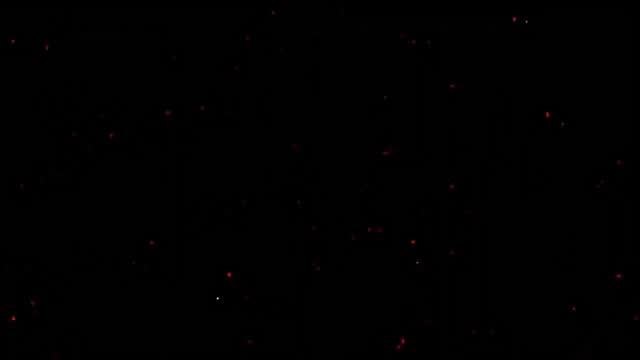 Reel saved from @DWK2l9ViH3_