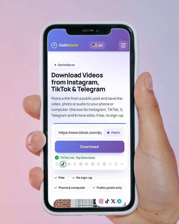 GetInSaver open on a phone with a TikTok link in the box