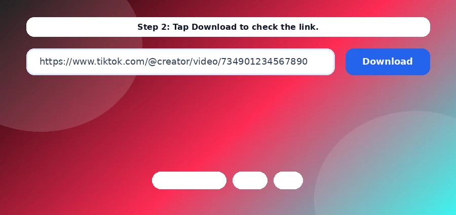 Step 2: paste the TikTok link into GetInSaver