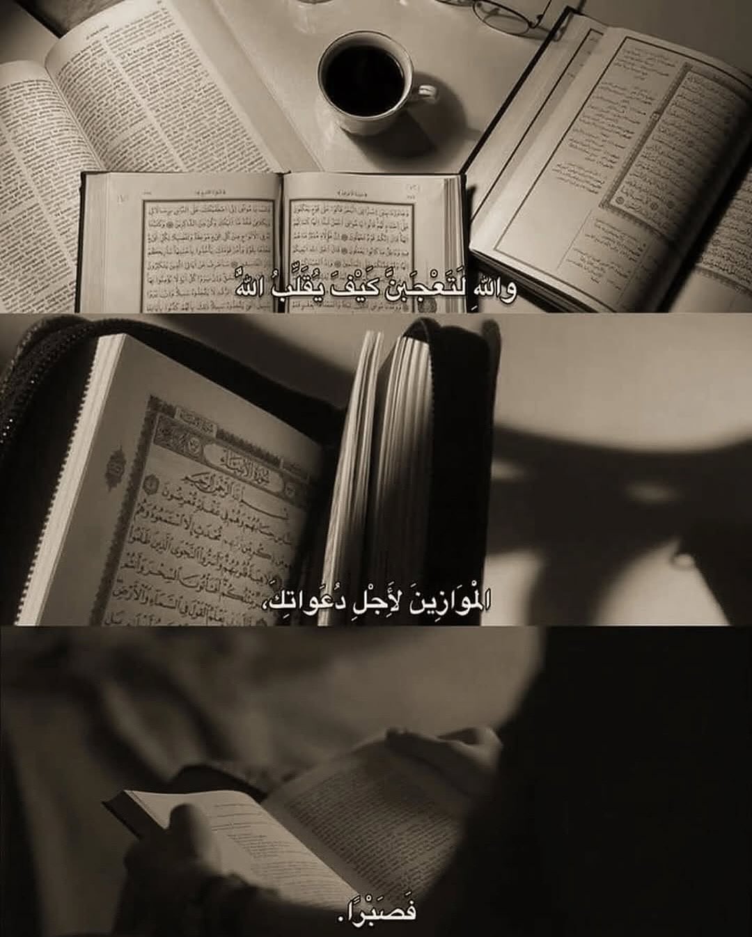 هذه الصفحة صديقة من لا صديق له 🤍

لايك وفـولـو متخسر شي🥺❤️ ا - Download Instagram Video