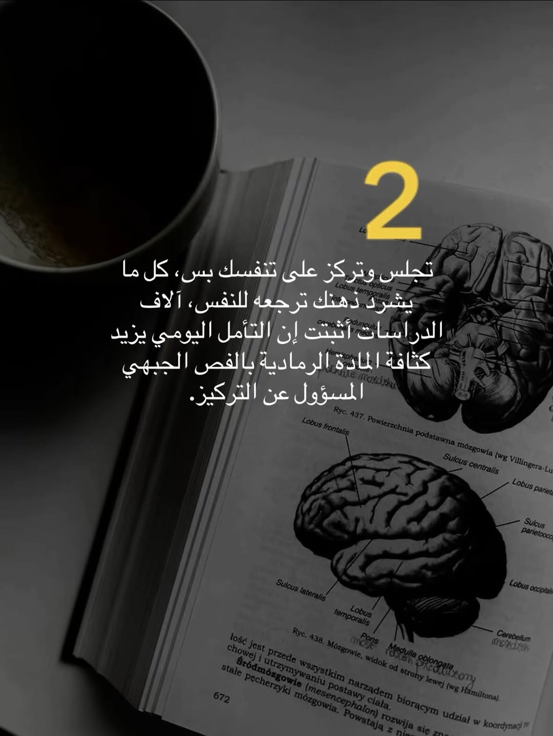 5 تمارين لزيادة التركيز.

#التركيز #تطوير_الشخصية #نصائح - Download Instagram Video