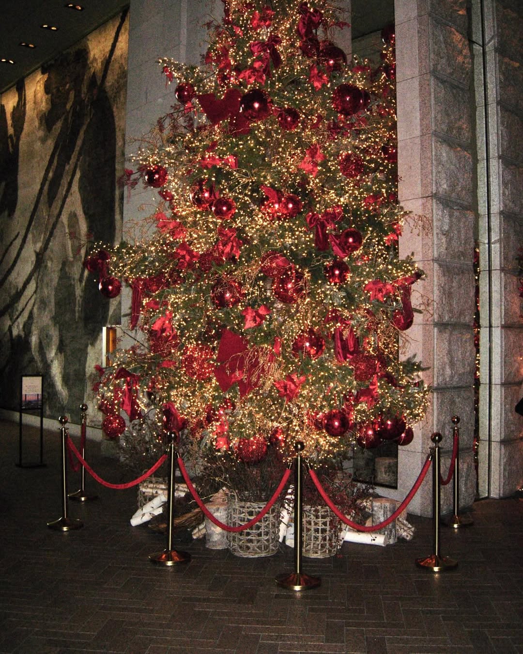 트리사냥 🎄♥️ (Part 5) - Download Instagram Video