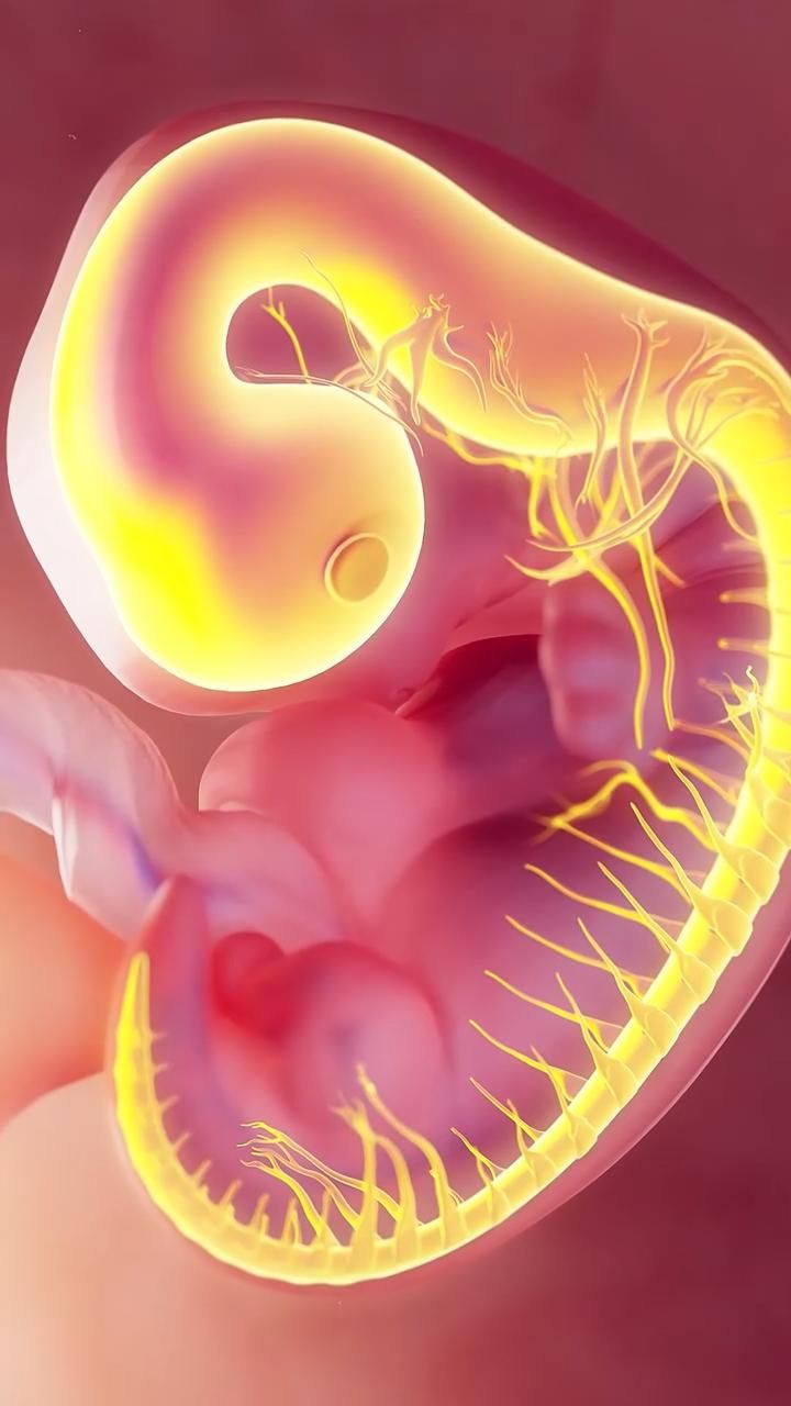  - Download Pinterest Video