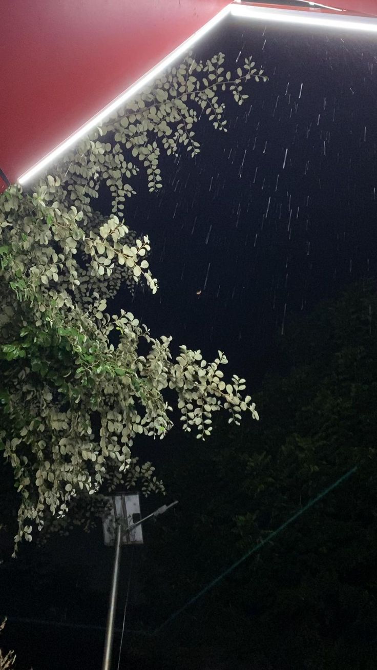  - Download Pinterest Video