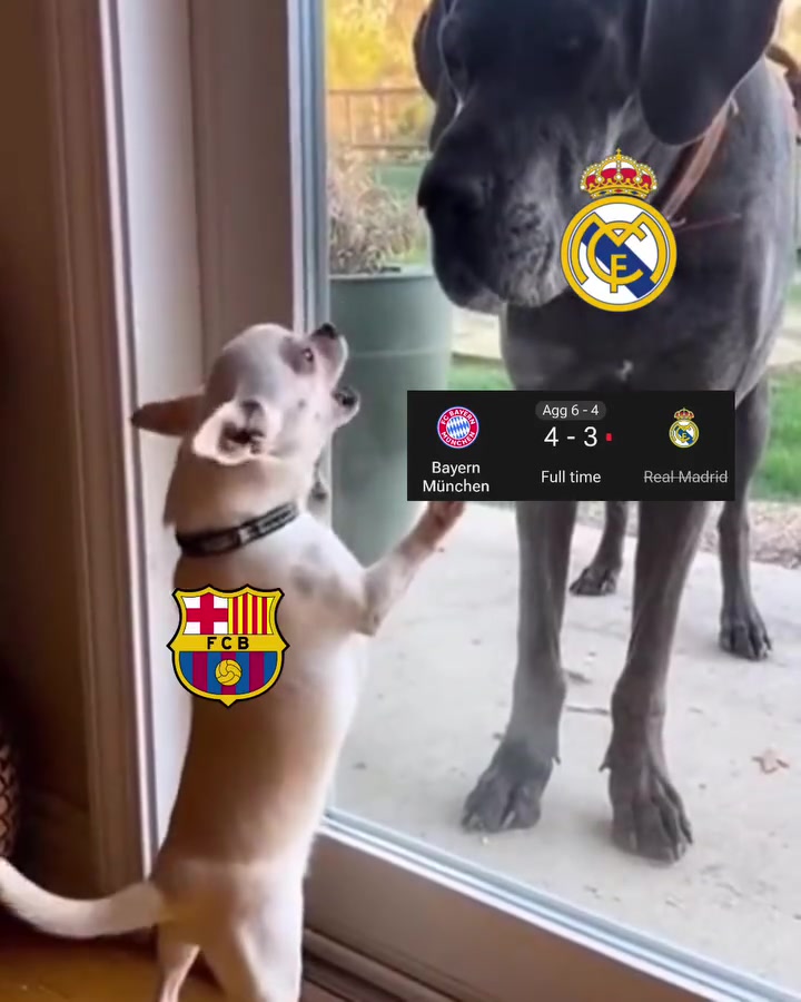 🎬 فيلم Home Alone (1990)

فيلم كوميدي عائلي أيقوني من إخراج Chris Columbus وبطولة Macaulay