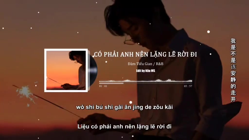 Có Phải Anh Nên Lặng Lẽ Rời Đi - Đàm Tiểu Gian / r&b #nhactrungquoc #我是不是该安静的走开 #xh #cover