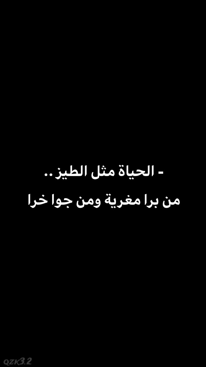 عام 2004 قدم المخرج ستيفن سبيلبرغ فيلمًا دراميًا يحمل عنوان
The Terminal
من بطولة توم هانك