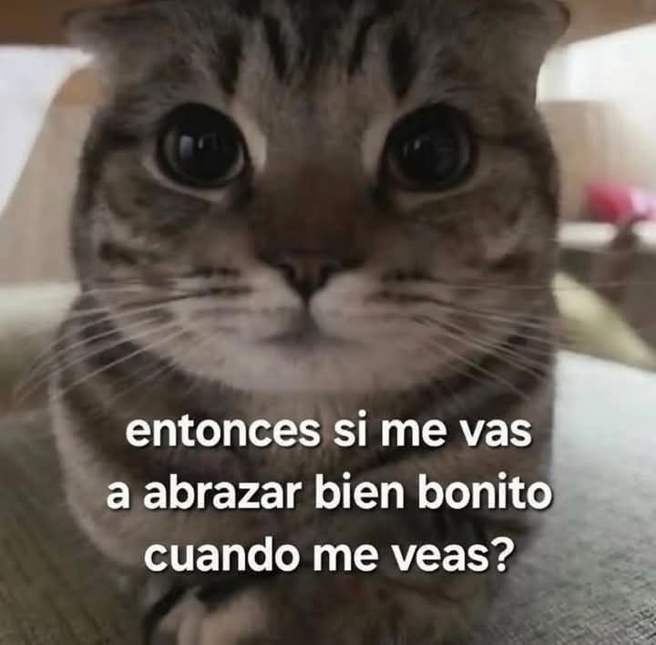 Siiii🫂💘 #novios #dedicar #couplegoals #parejas #etiquetarView all 30 comments