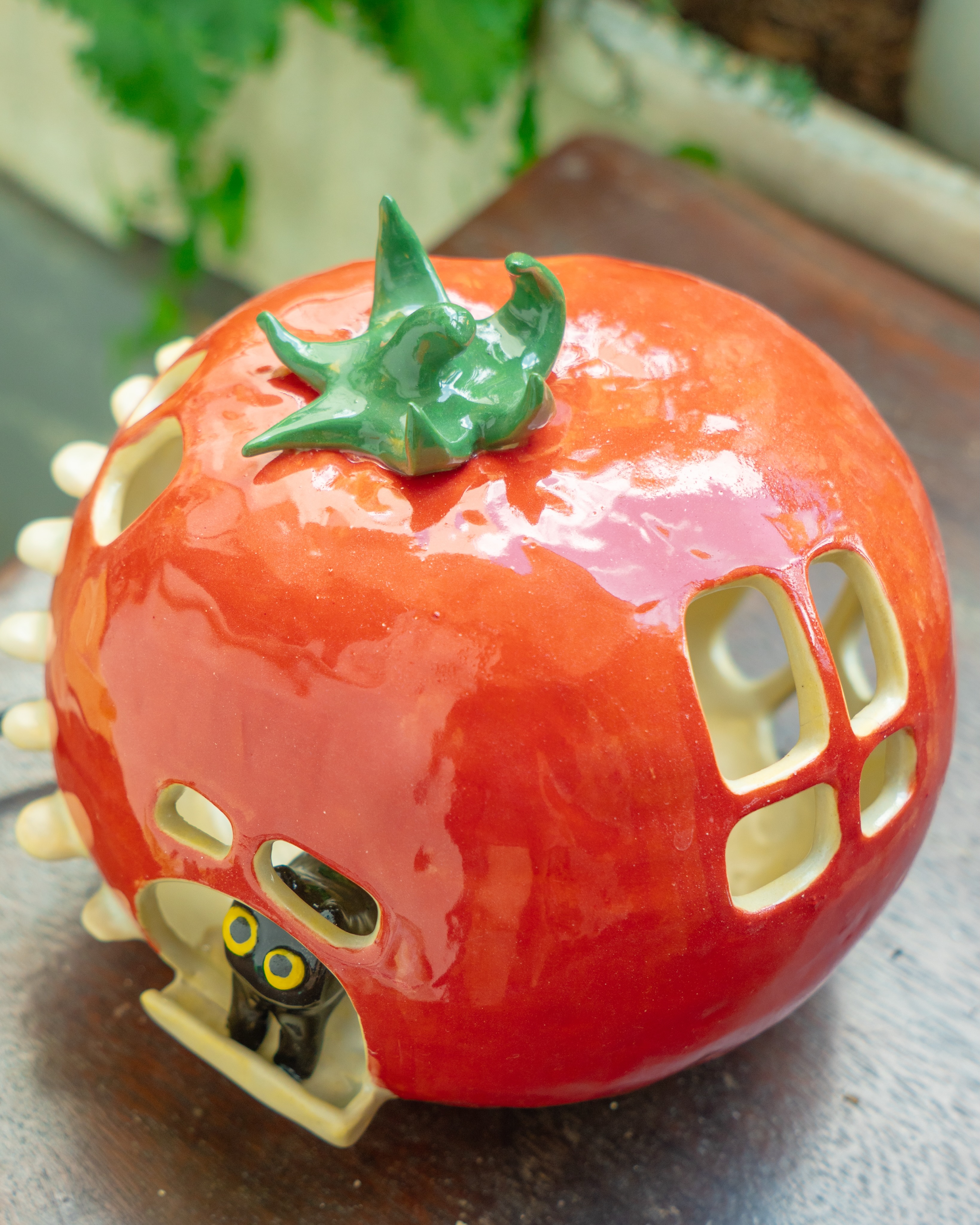 Beefsteak, cherry, roma, heirloom, grape tomatoes~ which kind do you want? Tablelamps…