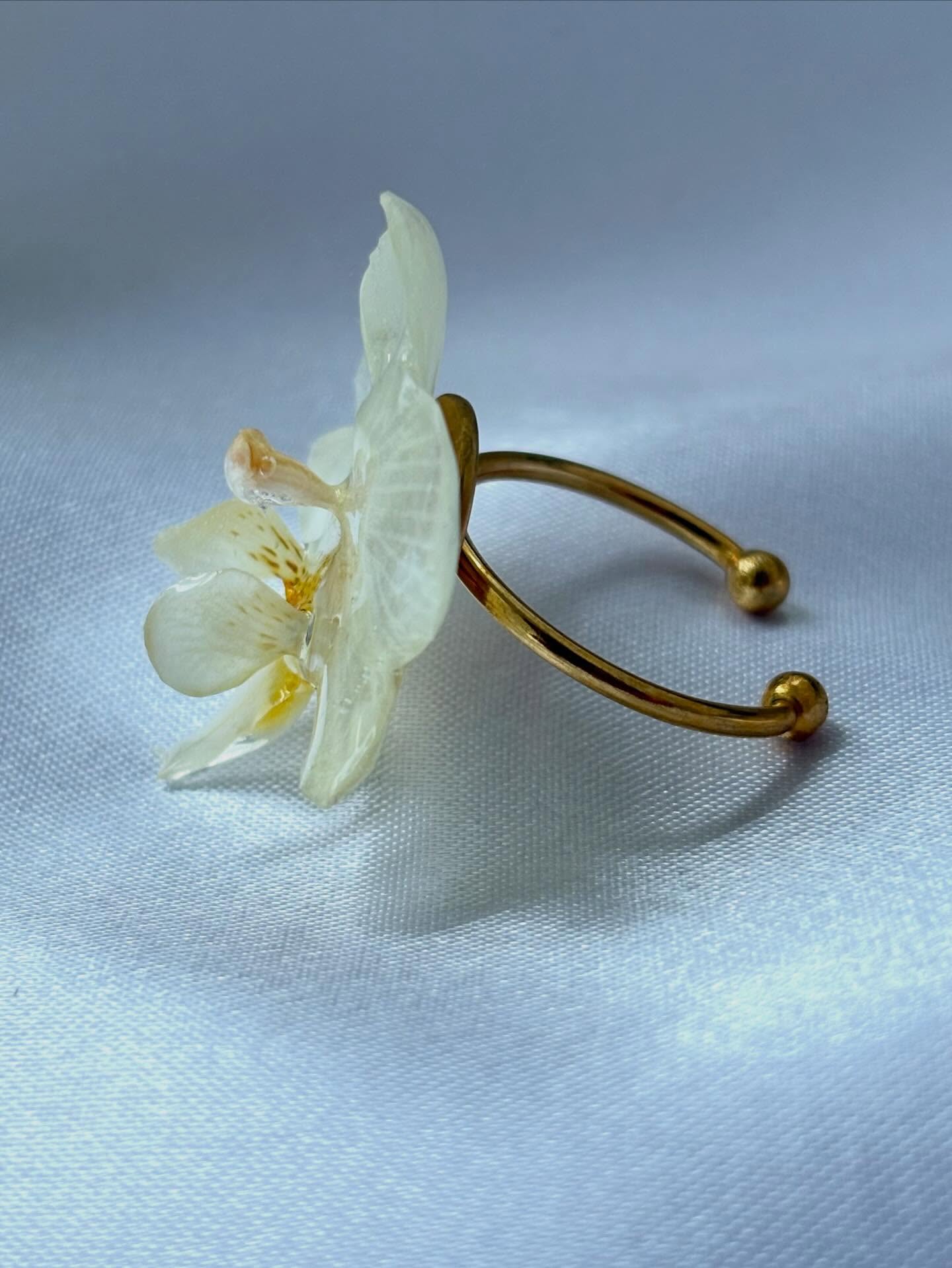 Hoe cute en mooi zijn deze kleine witte orchideeën met (nep) pareltjes.…